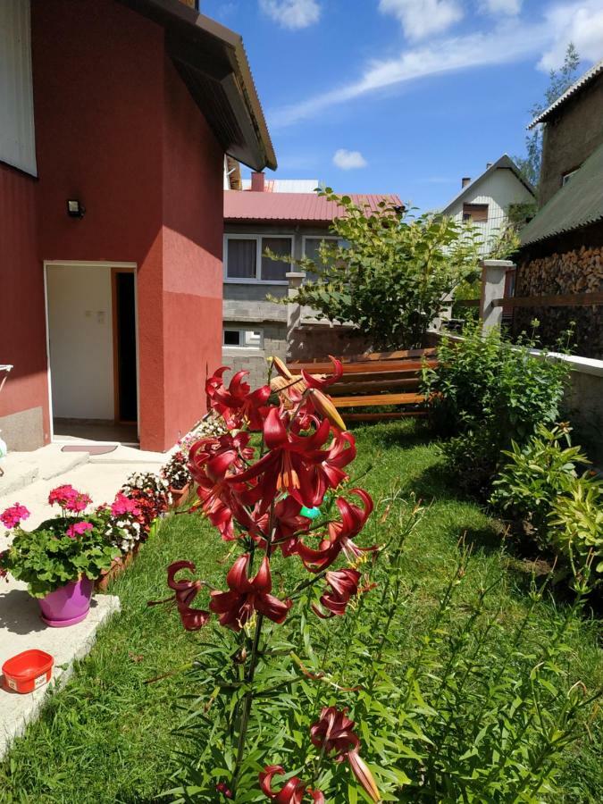 Apartments Bozovic Zabljak  Exterior photo